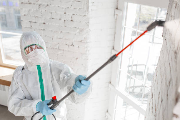 Best Crawl Space Mold Remediation  in Lagrange, GA