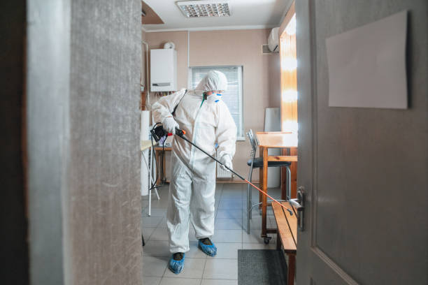 Best Mold Removal for HVAC Installations  in Lagrange, GA