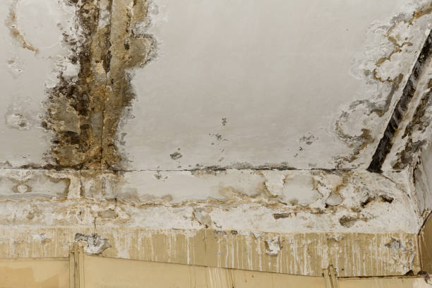 Best Indoor Air Quality Assessment  in Lagrange, GA