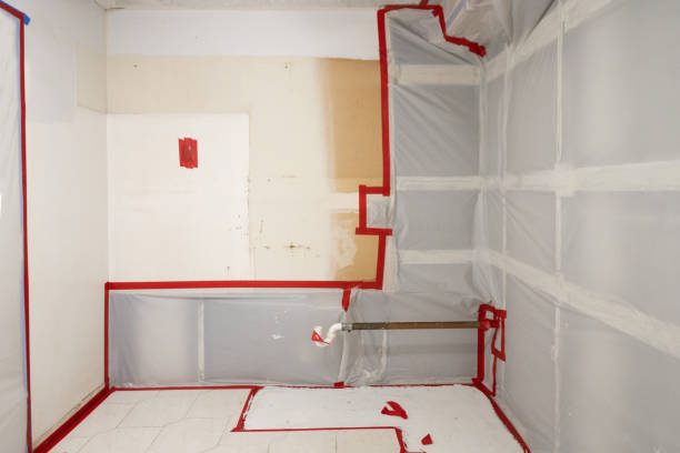 Trusted Lagrange, GA Mold Removal Experts