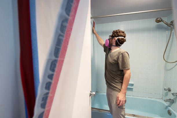 Best Emergency Mold Remediation  in Lagrange, GA