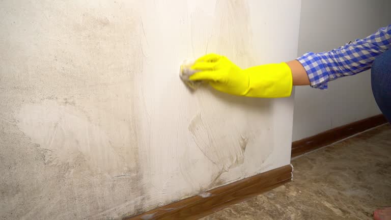 Best Comprehensive Air Testing for Mold Contaminants  in Lagrange, GA