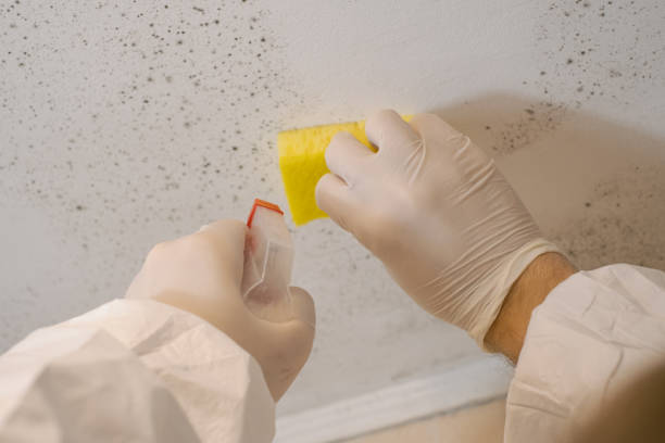 Best Mold-Related Health Consultation  in Lagrange, GA