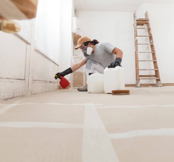 Best Basement Mold Removal  in Lagrange, GA