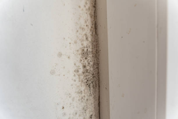 Best Air Quality Testing for Mold Spores  in Lagrange, GA