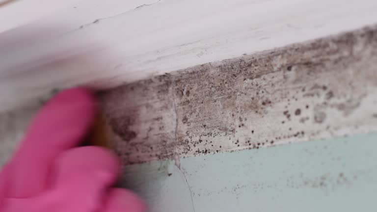 Best Post-Remediation Verification Testing  in Lagrange, GA